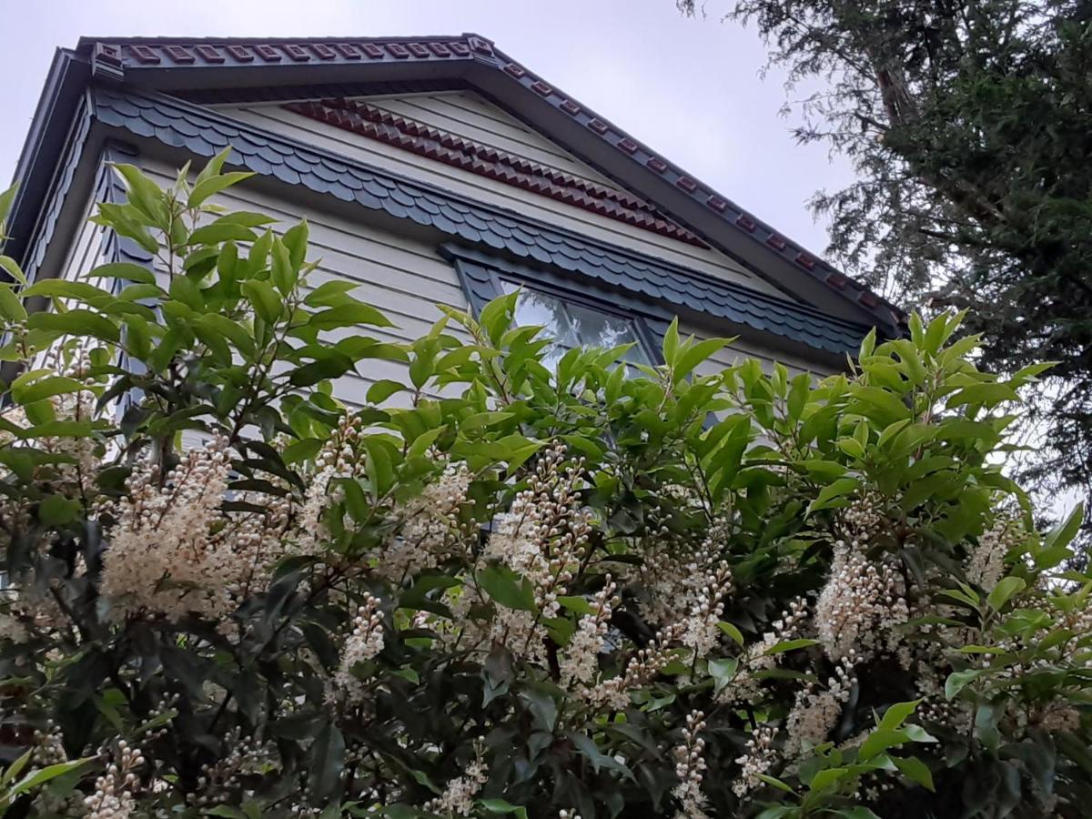 Sea Birds Cottage Victoria Exterior photo